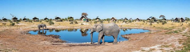 Afrika savana filleri 