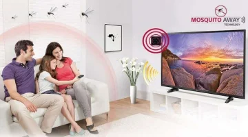LG'den Sinek Kovan Akıllı Televizyon